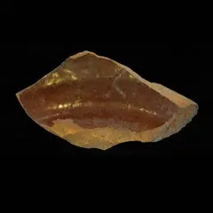 Milkpan base artifact plimoth patuxet