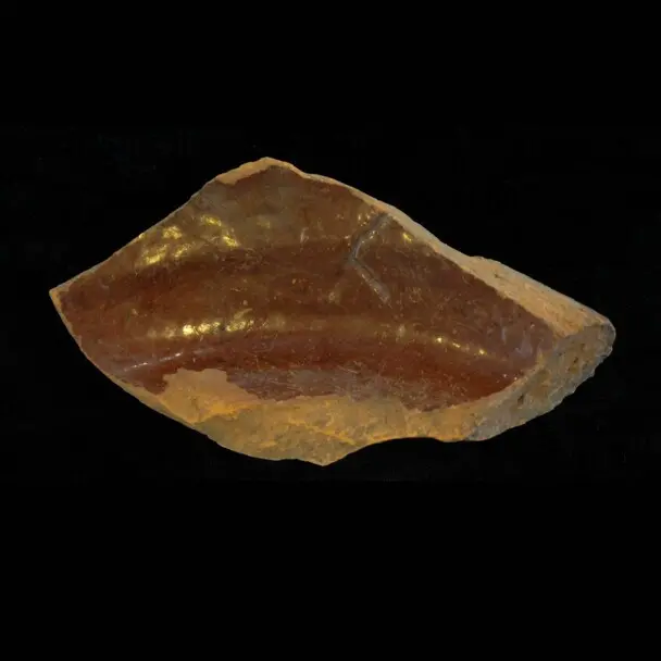 Milkpan base artifact plimoth patuxet