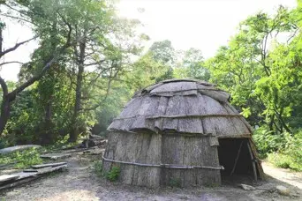 Restored wetu patuxet homesite