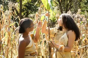 Two young Wampanoag women dressed in regalia check on growing corn at the Historic Patuxet Homesite.