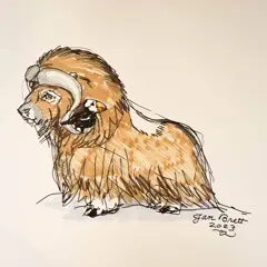 Jan Brett's completed artwork.