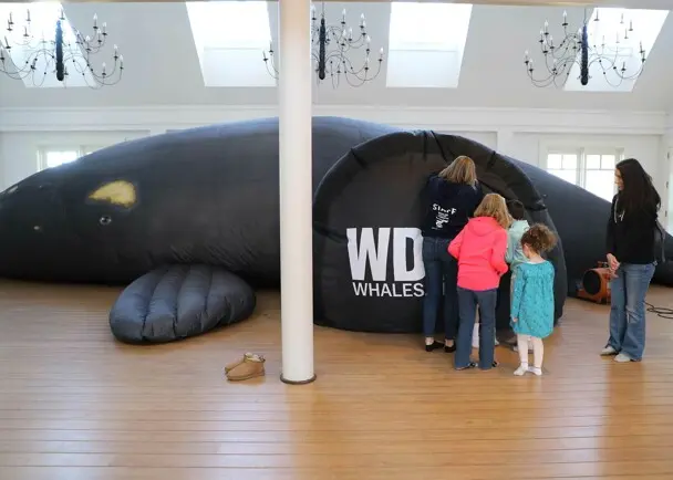 Whale gains february vacation