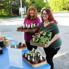 Plant sale customers plants
