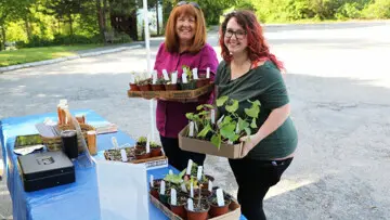 Plant sale customers plants