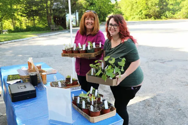 Plant sale customers plants