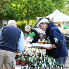 Plant sale volunteer customer
