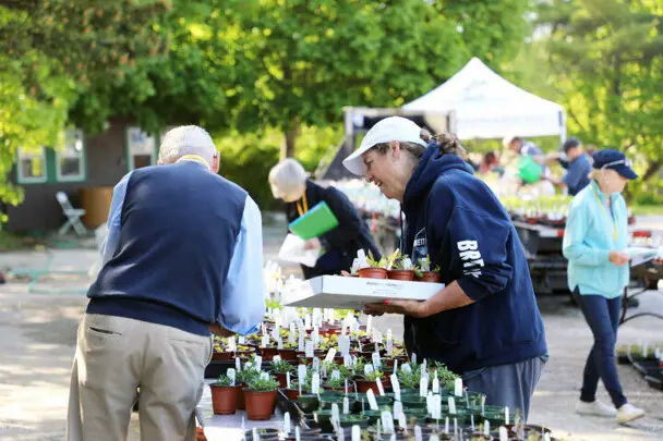 Plant sale volunteer customer