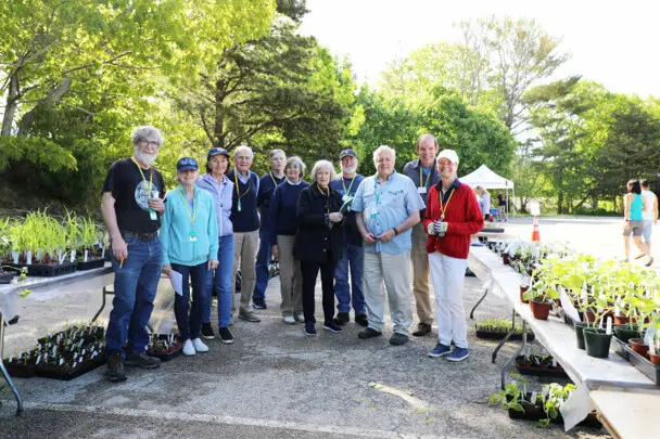 Plant sale volunteer group