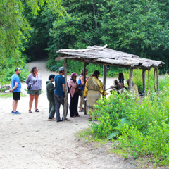 Guests shade arbor indigenous crafts homesite strawberry thanksgiving