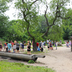 Homesite guests performance