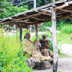 Shade arbor crafts indigenous homesite
