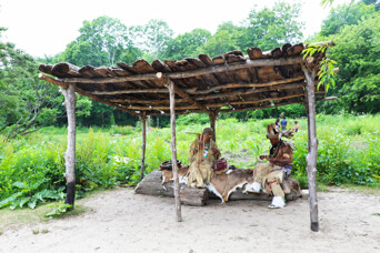 Shade arbor indigenous crafts homesite