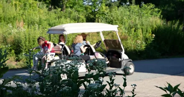 Golf cart guests transportation