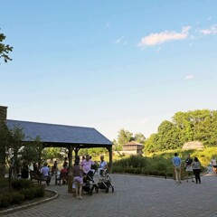 Guests best night of the week plymouth