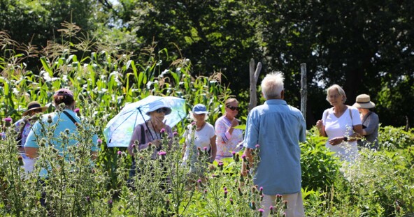 Garden tour plimoth patuxet