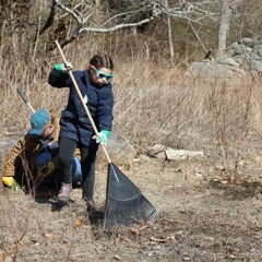 A young girl rakes leaves on the Historic Patuxet Homesite. A staff member crouches to weed behind her.