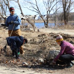 A couple weed the garden at the Historic Patuxet Homesite with their young daughter.