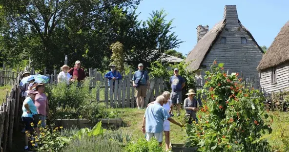 A year in a gardeners life summer
