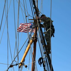 Mayflower flag constitution