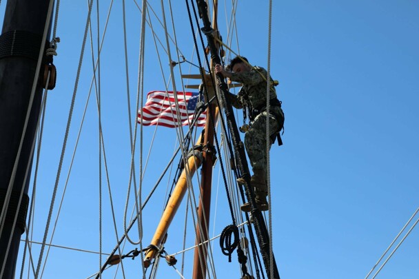 Mayflower flag constitution