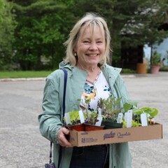 Woman smiles as she holds box of seedlings