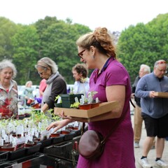 Woman peruses seedlings amongst crowd at plant sale