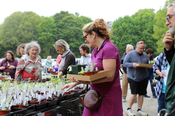 Woman peruses seedlings amongst crowd at plant sale