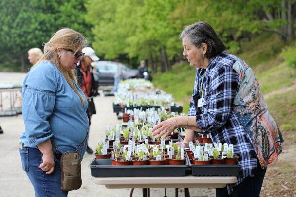 Visitor talks to horticulture volunteer to learn more about heirloom plants