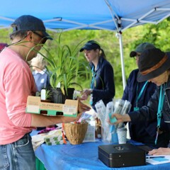 Visitor purchasing plants from Plimoth Patuxet employees at the Plant Sale