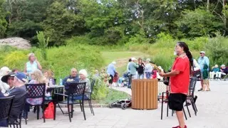 Summer music series the groovalottos center pavilion guitar player