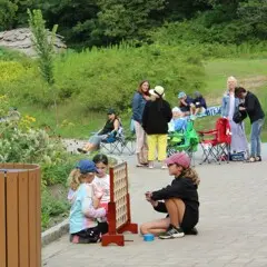 Summer music series the groovalottos connect four kids