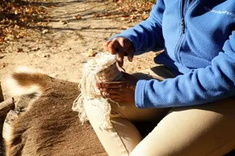 Spinning weaving week historic patuxet homesite