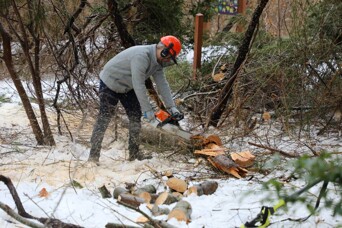 Chainsaw homesite clearing path