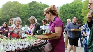 Plimoth patuxet plant sale 2026