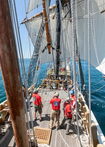 Mayflower sailing parade of sail