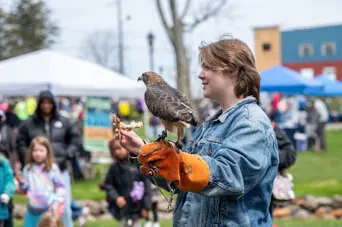 Mass audobon hawk teaching