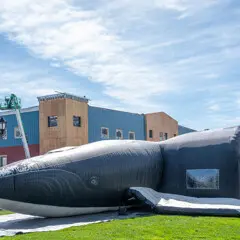 Life sized whale