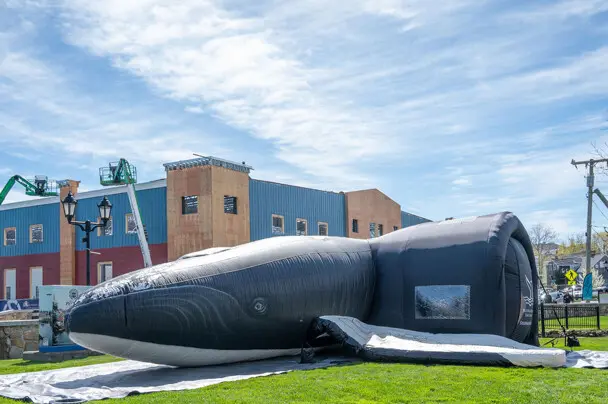 Life sized whale