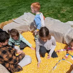 Corn pit herring run