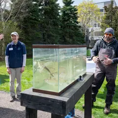Herring tank 2026