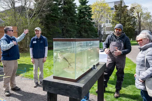 Herring tank 2026