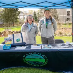 Manomet herring run