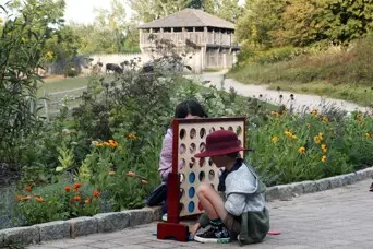 Member day connect four