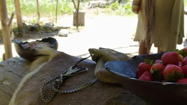 Red strawberries placed in a wooden bowl on top of a fur lined log on the Historic Patuxet Homesite