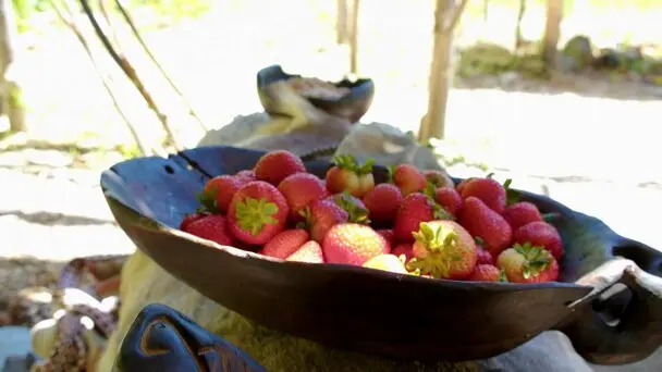 Red strawberries in a wood bowl.
