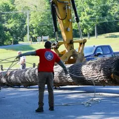 Museum worker gathers rope as largre, yellow crane, is used to move mishoon log.