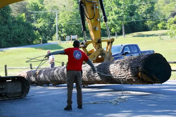 Museum worker gathers rope as largre, yellow crane, is used to move mishoon log.