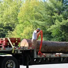 Museum staffer stands on large truck bed holding 35 foot log