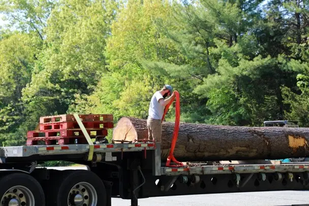 Museum staffer stands on large truck bed holding 35 foot log