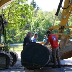 Several museum workers gather around large log and yellow crane to help move the item
